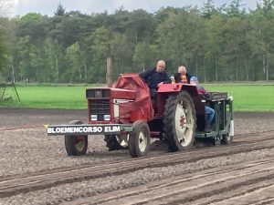 Knollen de Grond in.